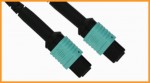 PATCHCORD MPO-MPO OM3 12F TYP B 1M